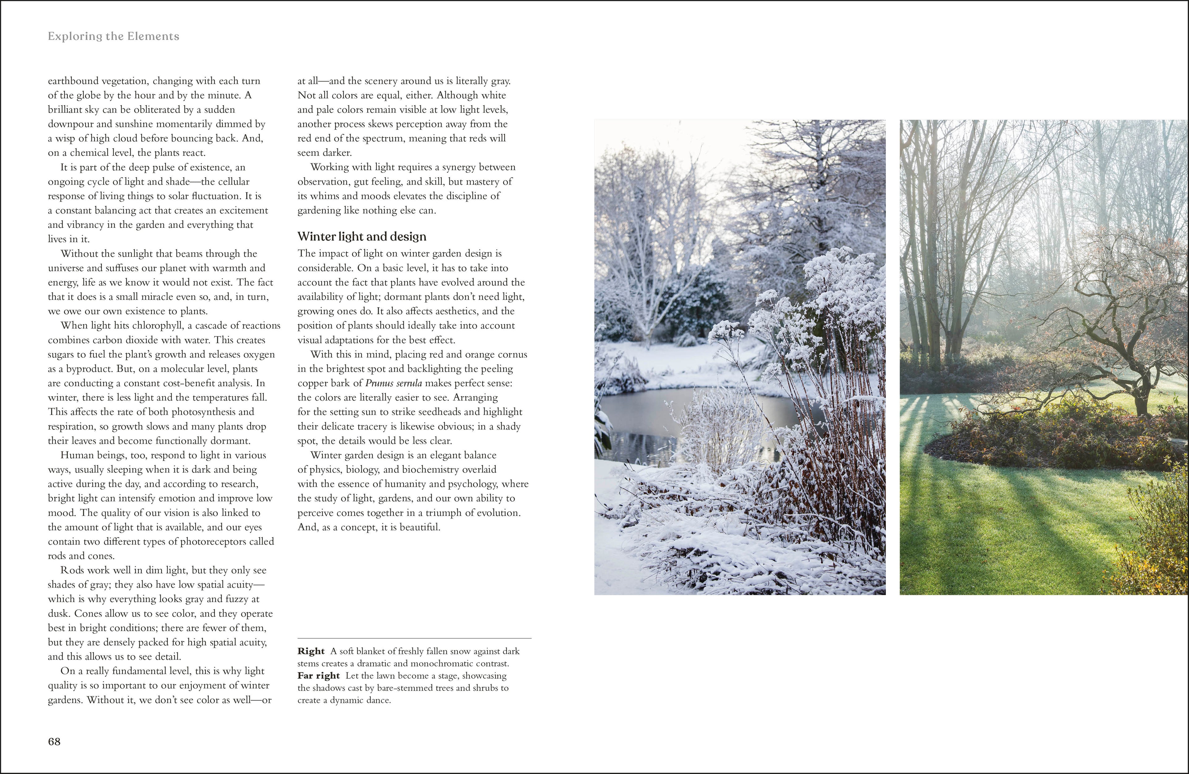 The Winter Garden-image