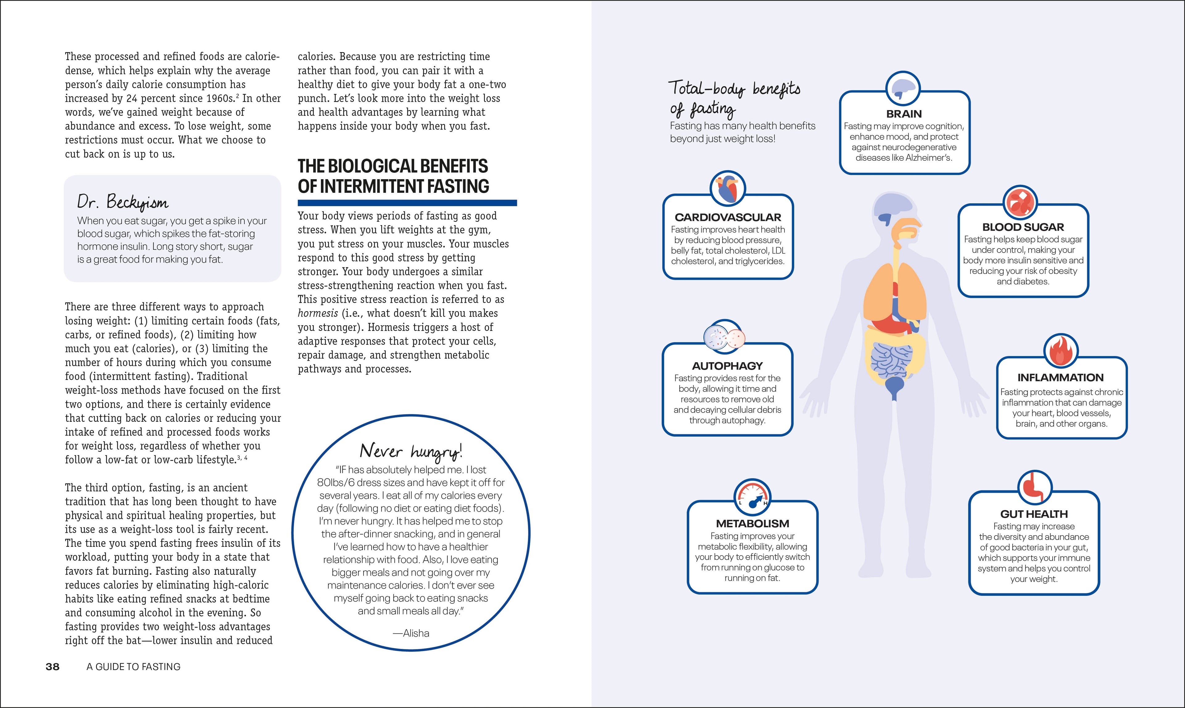Intermittent Fasting Diet Guide and Cookbook