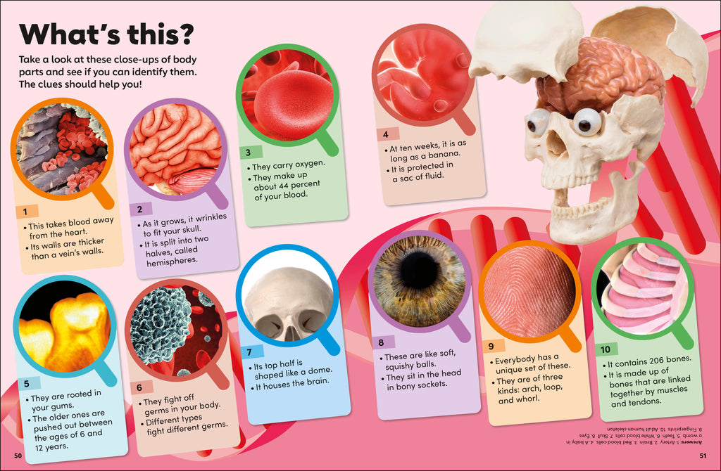 Eyewonder Human Body-Spread, Image, (PRHC, Design, Do, Not, Use)-6