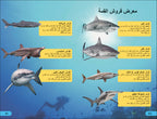 DK Super Readers Level 4 Shark Apex Predator (Arabic translation)-Spread, Image, (PRHC, Design, Do, Not, Use)-3
