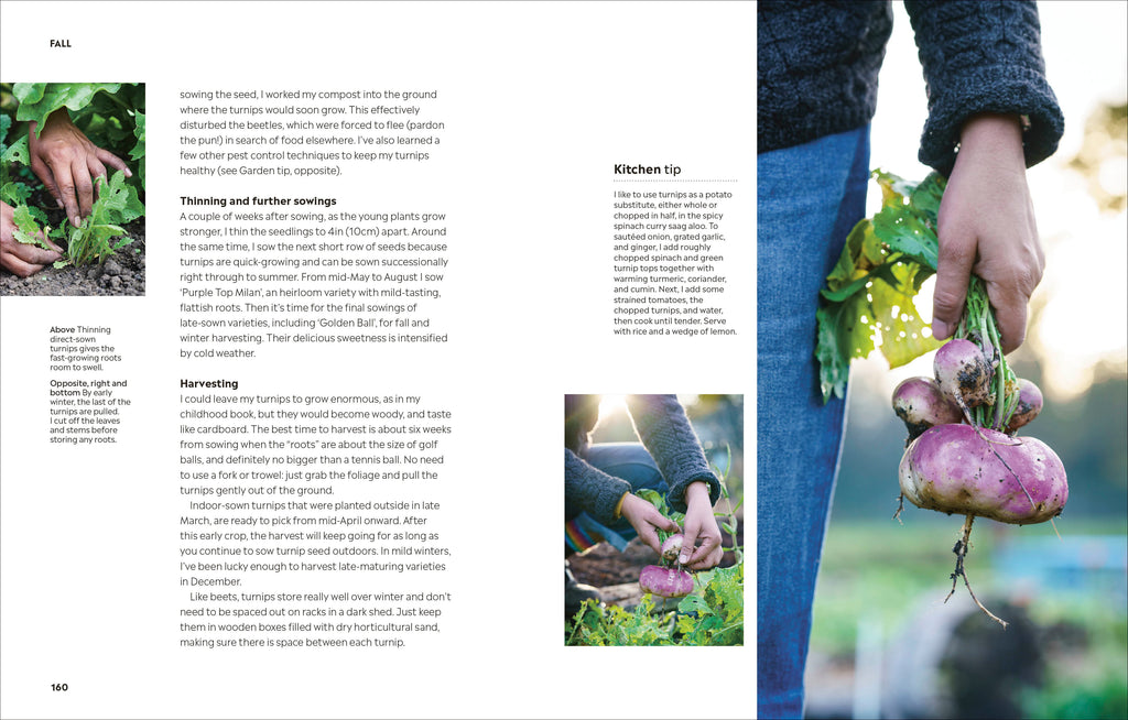 Rekha's Kitchen Garden-image