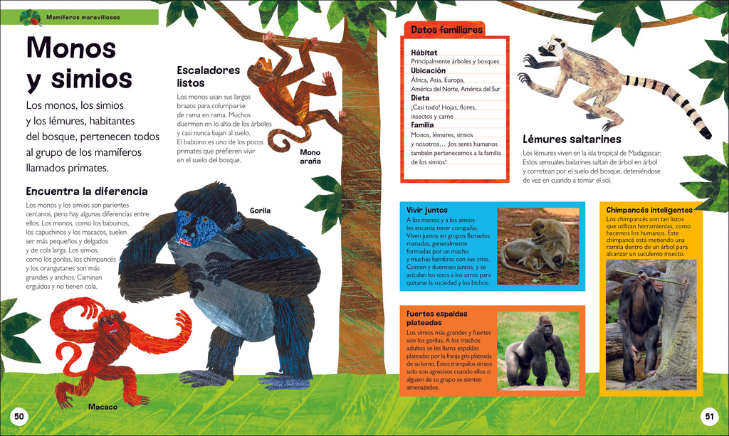 La oruga muy hambrienta Mi primera enciclopedia de animales (The Very Hungry Caterpillar's Very First Animal Encyclopedia)-Spread, Image, (PRHC, Design, Do, Not, Use)-2