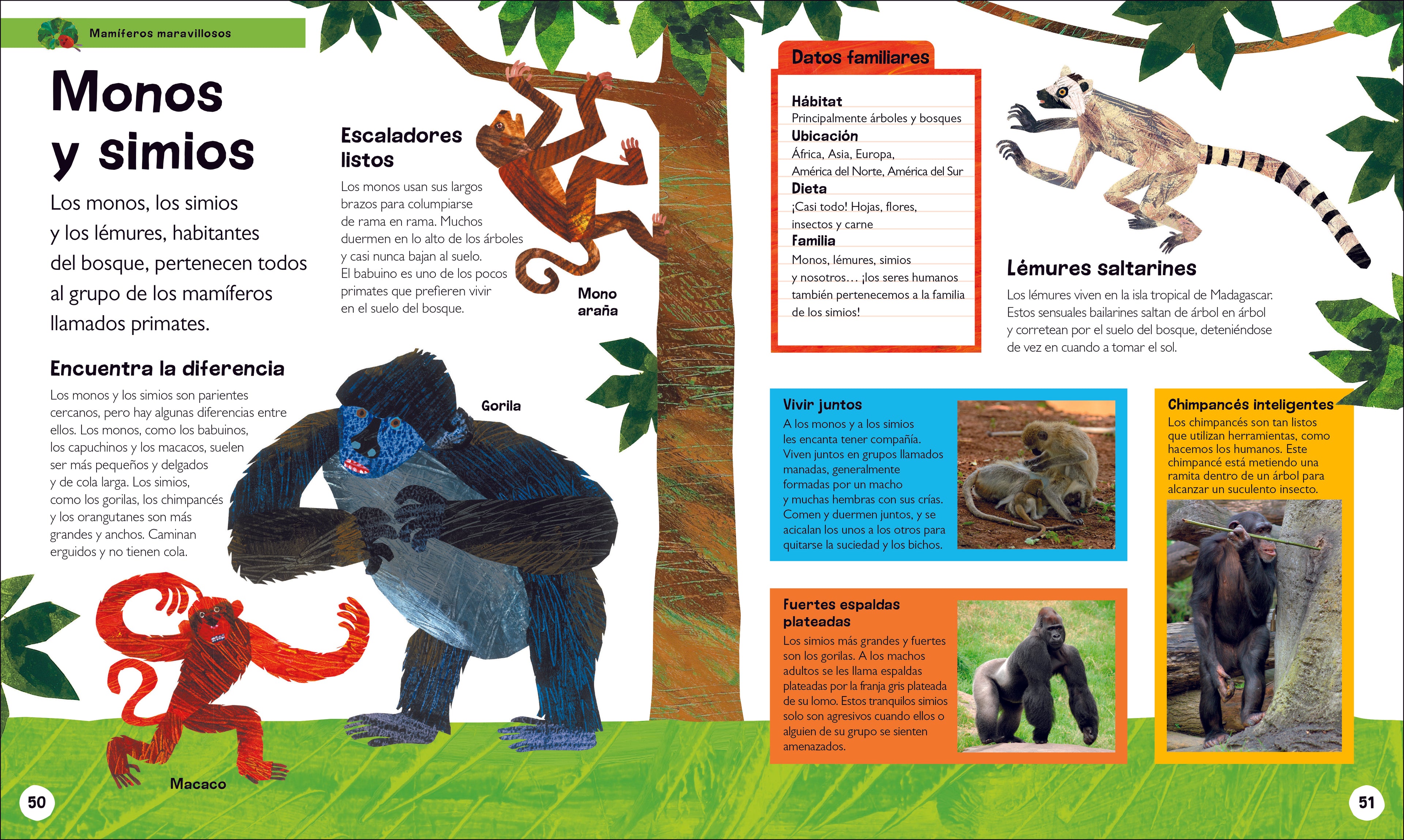 La oruga muy hambrienta Mi primera enciclopedia de animales (The Very Hungry Caterpillar's Very First Animal Encyclopedia)-Spread, Image, (PRHC, Design, Do, Not, Use)-2