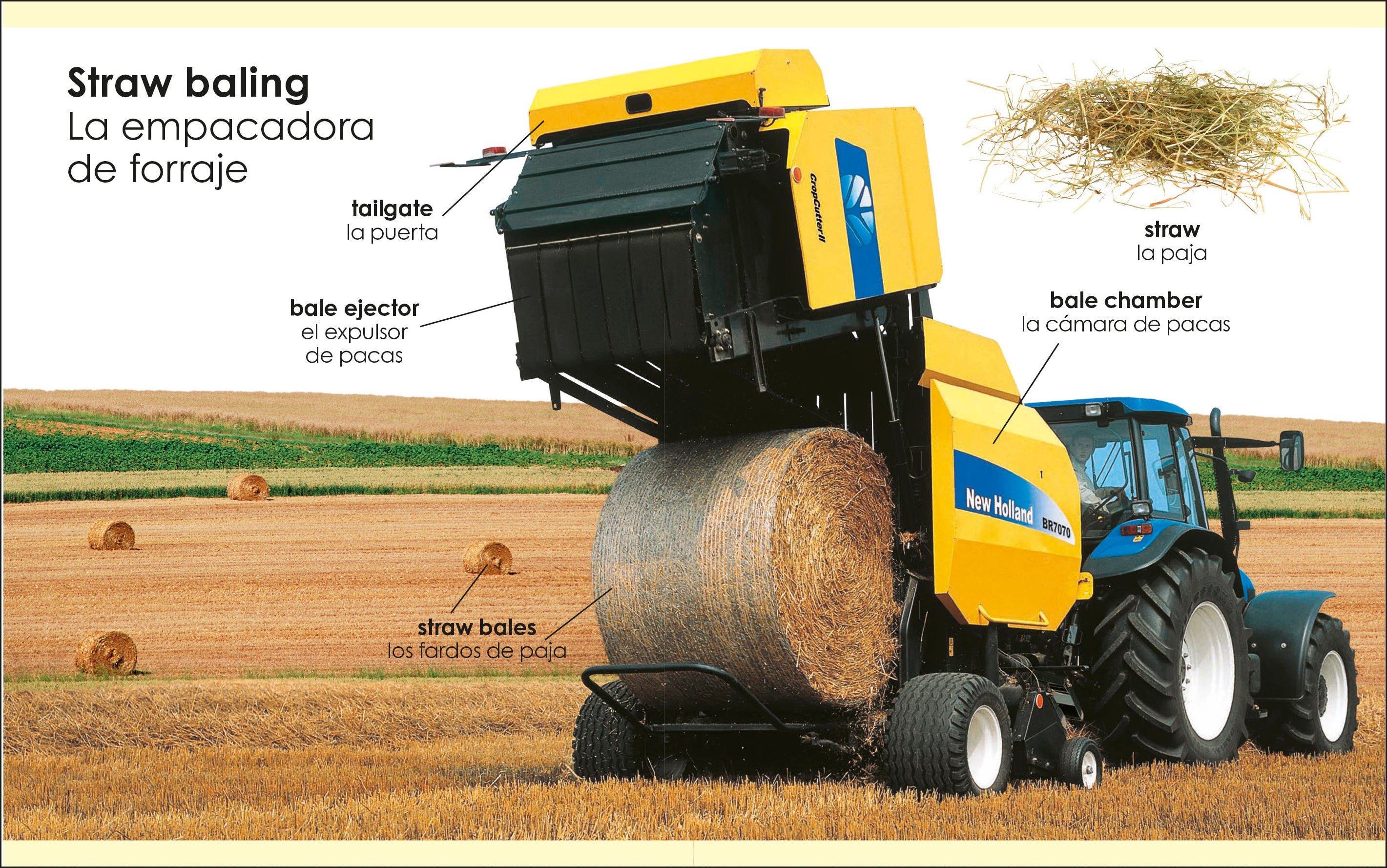 My First Bilingual tractors / los tractores-Spread, Image, (PRHC, Design, Do, Not, Use)-4