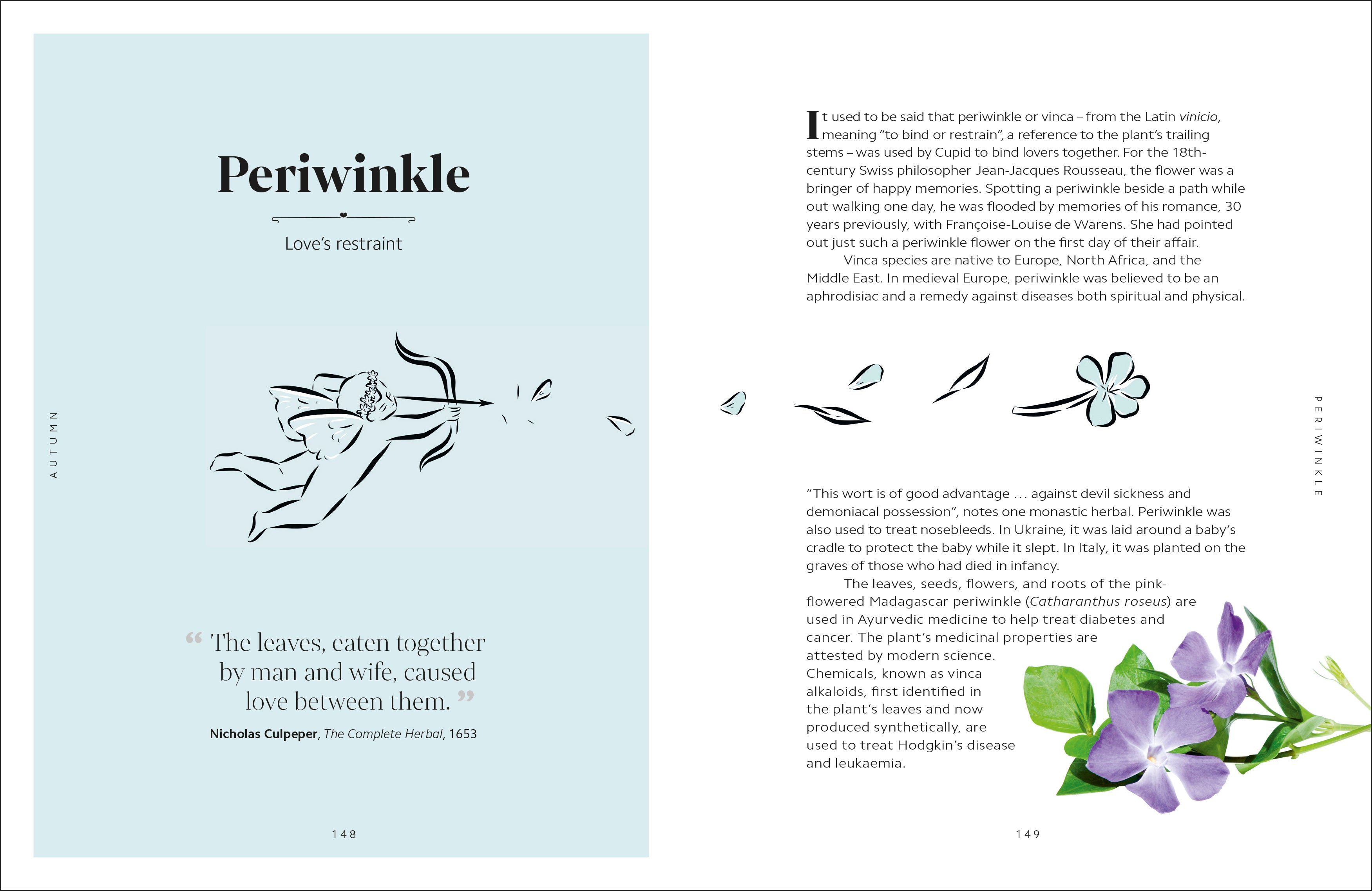 The Secret Language of Flowers