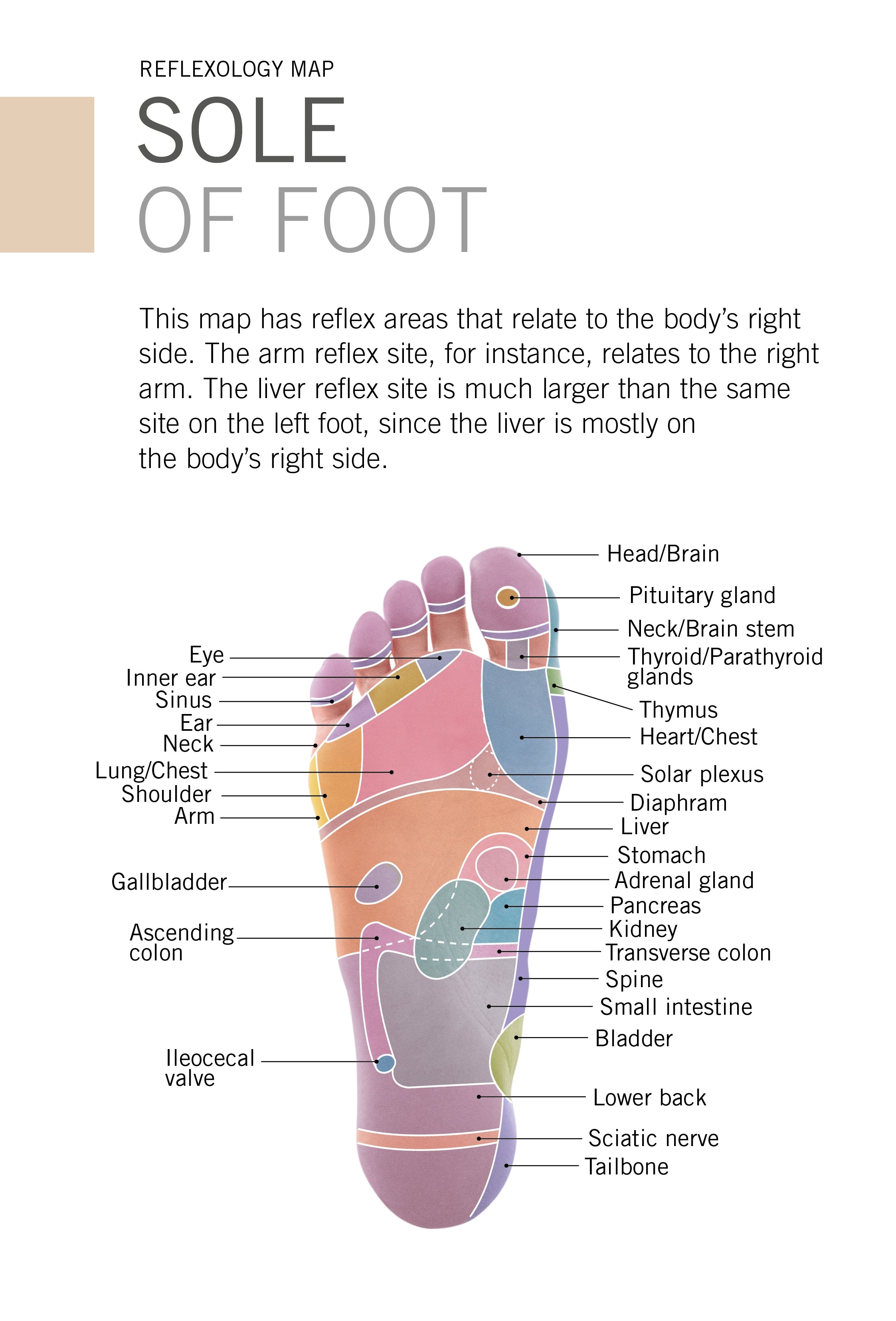 Reflexology Deck