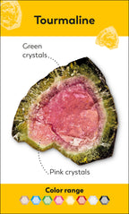Rocks and Minerals Flash Cards-Spread, Image, (PRHC, Design, Do, Not, Use)-3