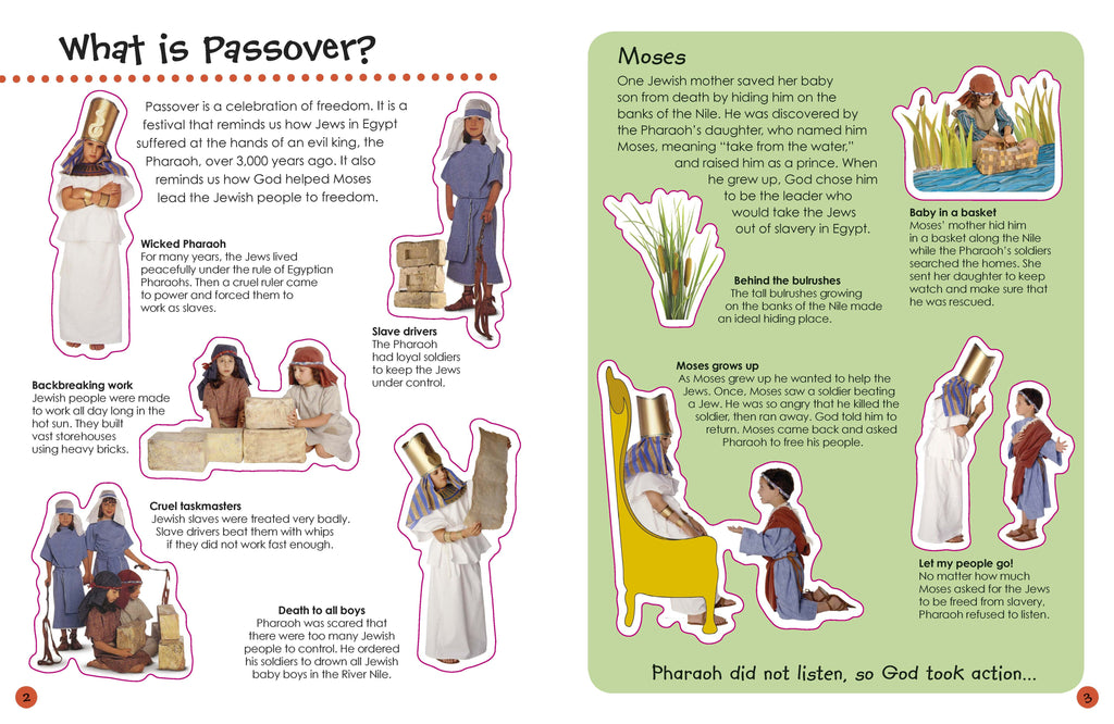 Ultimate Sticker Book Passover