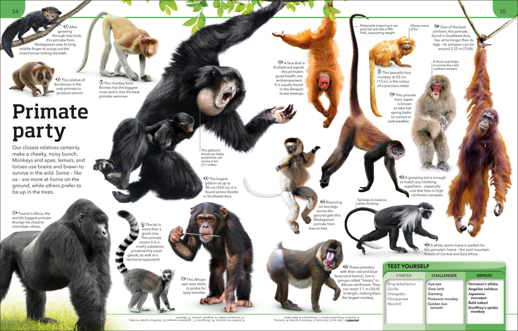 General Knowledge Genius!