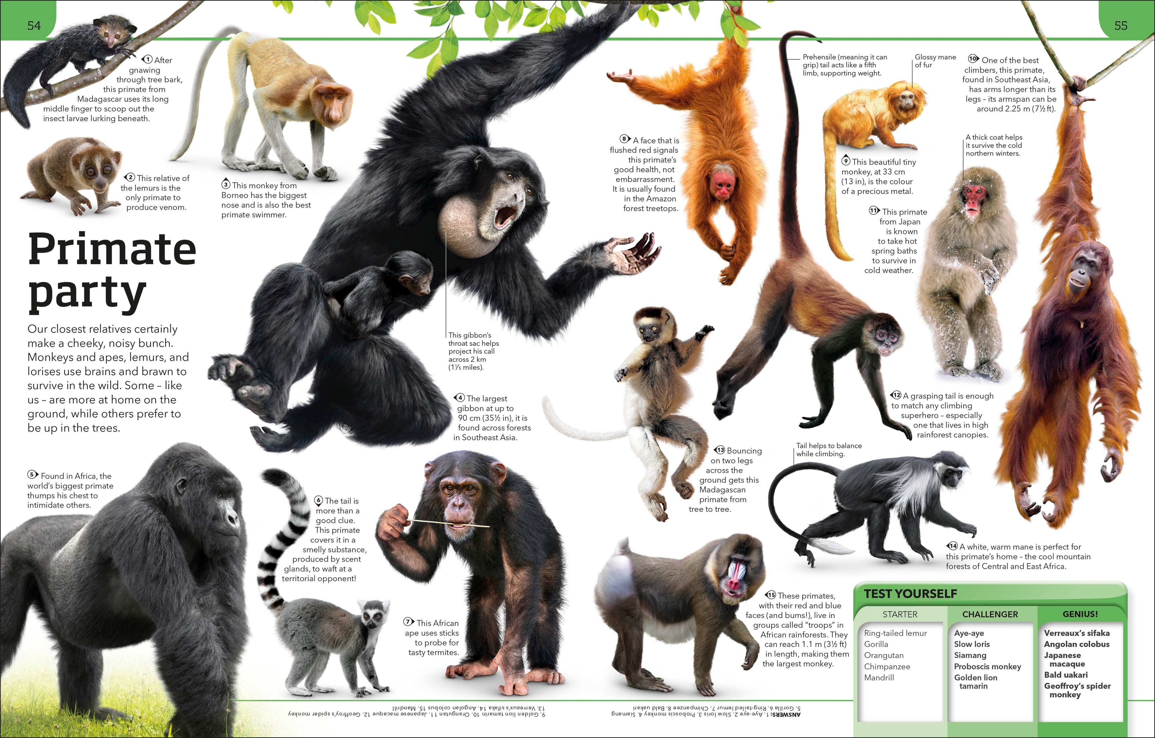 General Knowledge Genius!