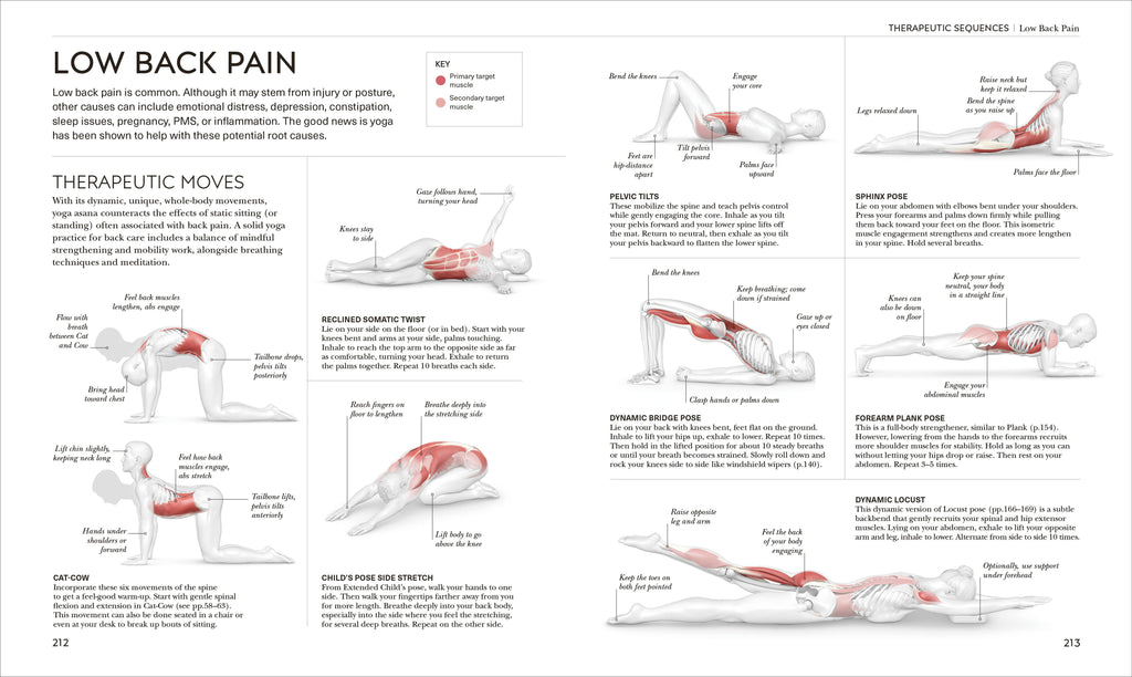 Science of Yoga-Spread, Image, (PRHC, Design, Do, Not, Use)-5