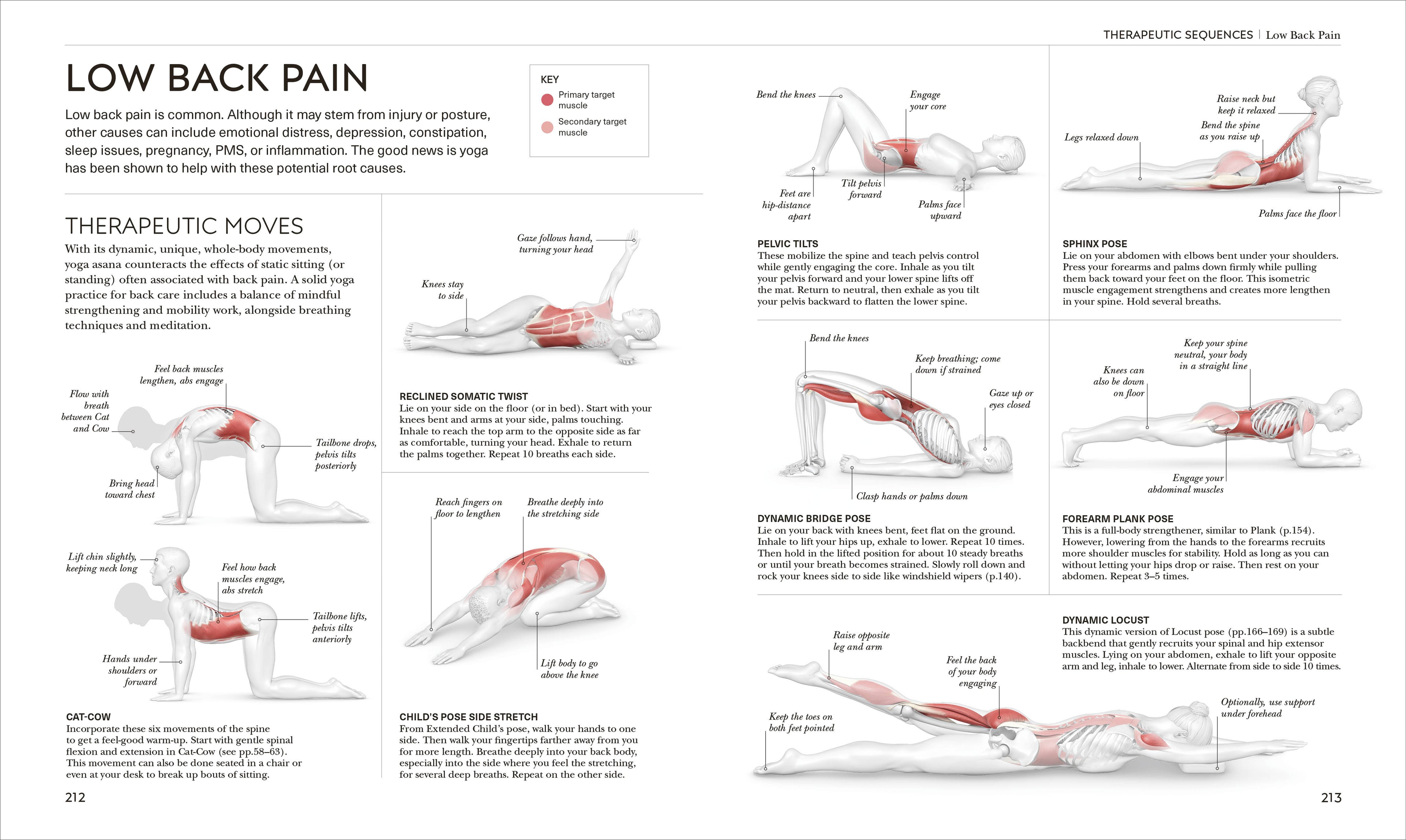 Science of Yoga-Spread, Image, (PRHC, Design, Do, Not, Use)-5