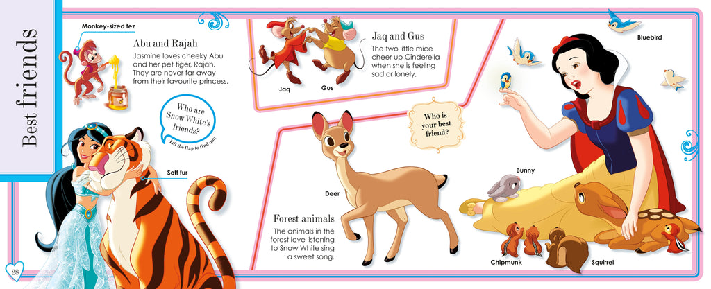 The Amazing Book of Disney Princess