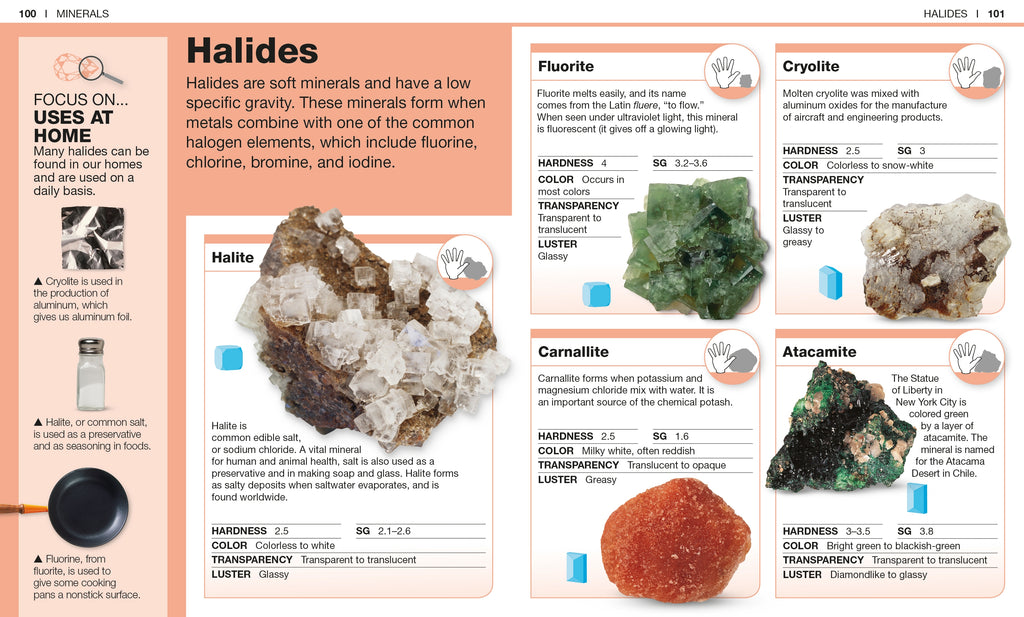 Pocket Genius: Rocks and Minerals