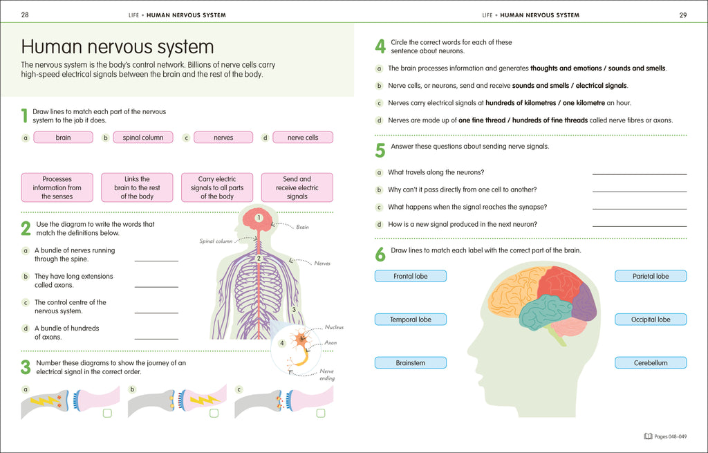 How to Be Good at Science, Technology and Engineering Grade 6-8-Spread, Image, (PRHC, Design, Do, Not, Use)-5