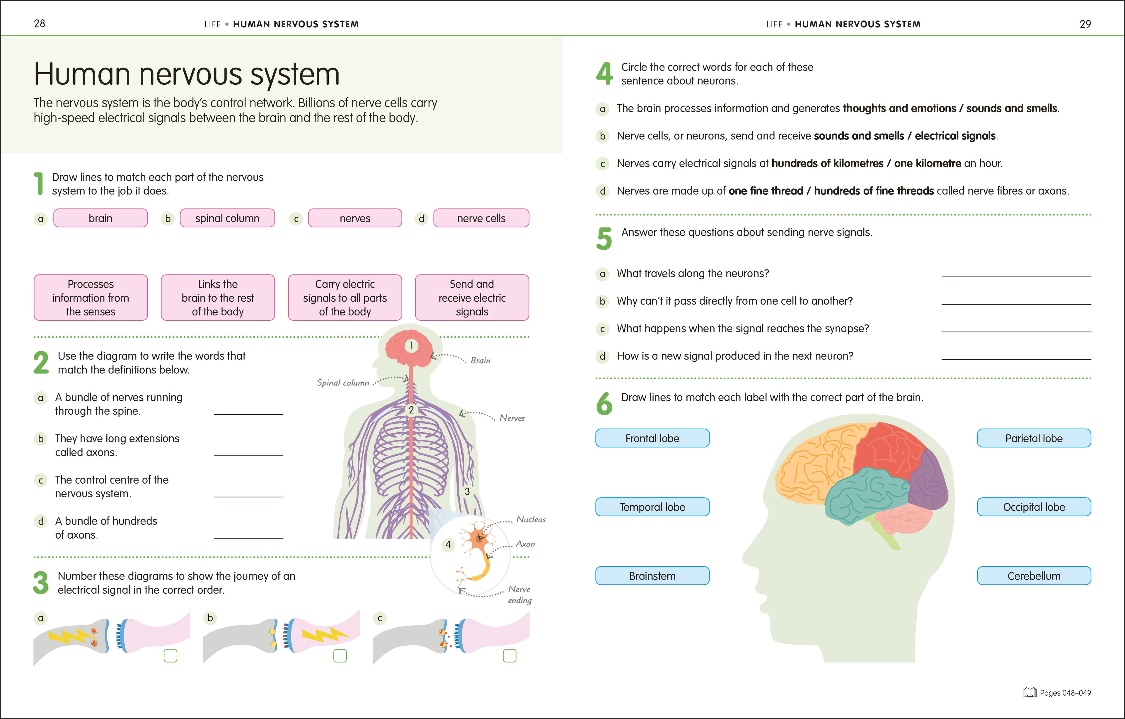 How to Be Good at Science, Technology and Engineering Grade 6-8-Spread, Image, (PRHC, Design, Do, Not, Use)-5
