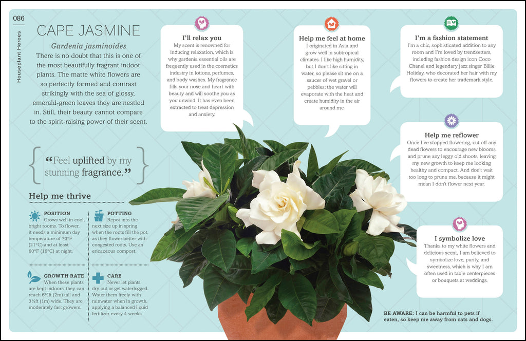 My Houseplant Changed My Life