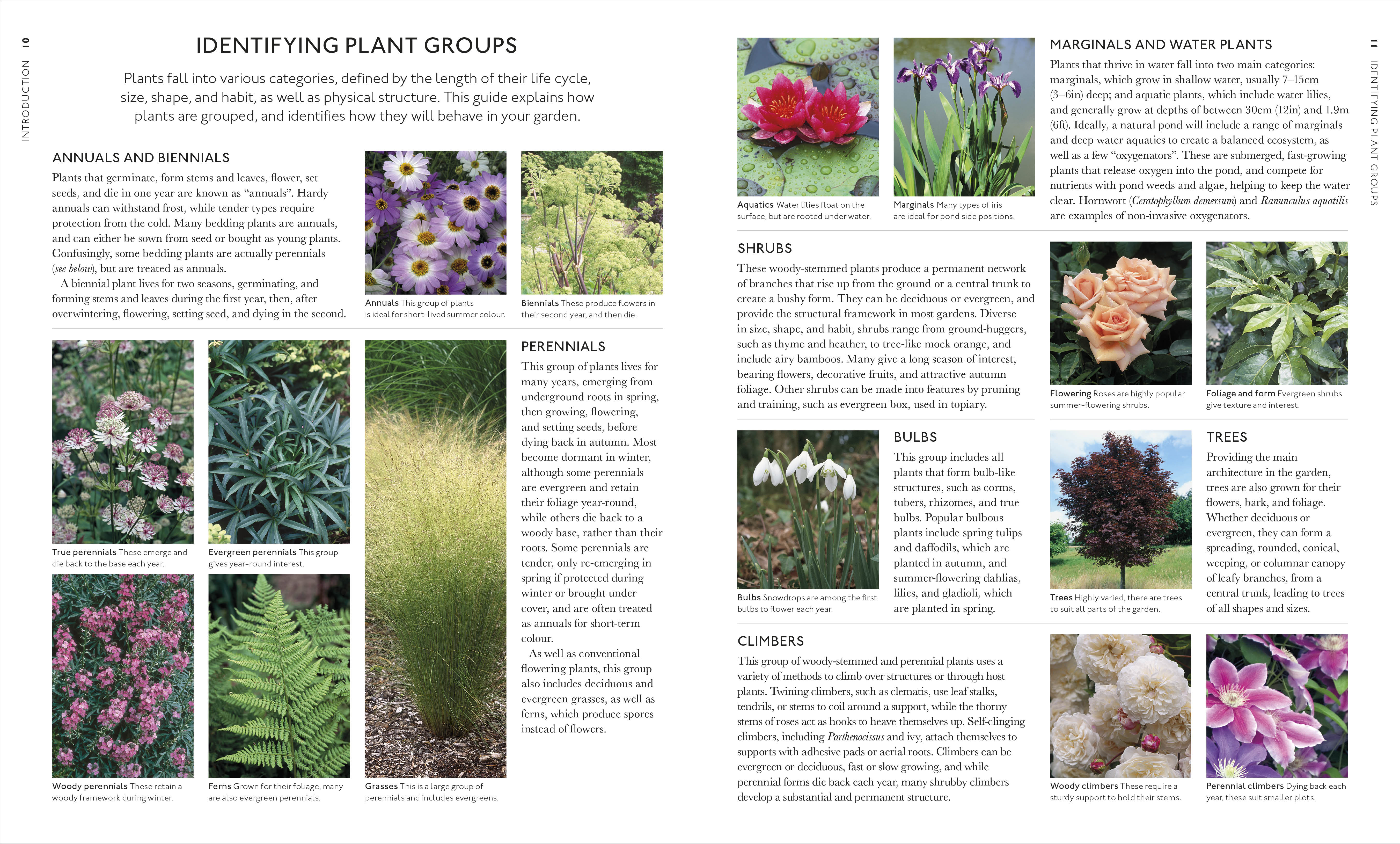 Encyclopedia of Garden Plants for Every Location – DK