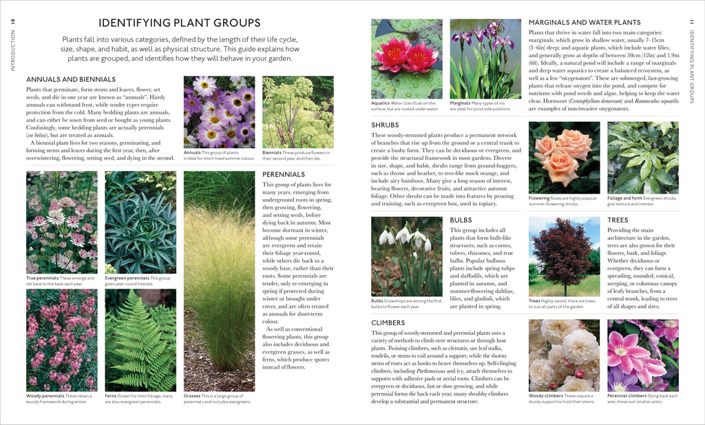 Encyclopedia of Garden Plants for Every Location-Spread, Image, (PRHC, Design, Do, Not, Use)-2