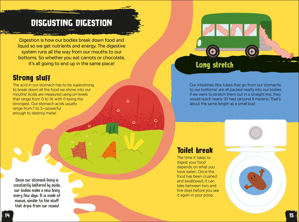 Gross and Ghastly: Human Body