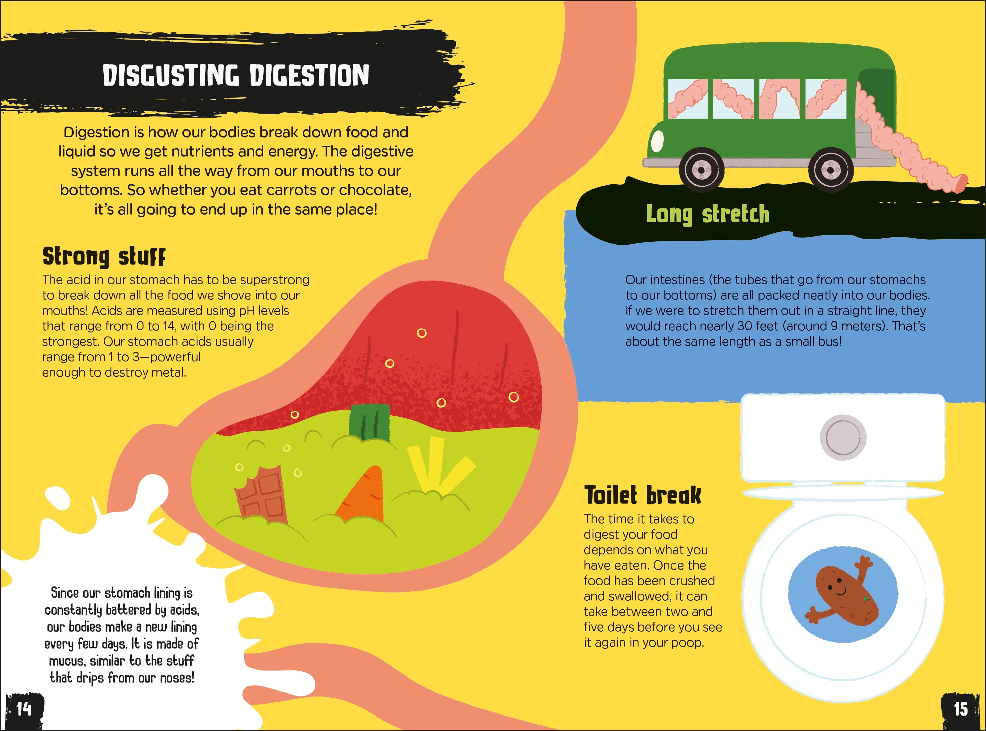 Gross and Ghastly: Human Body