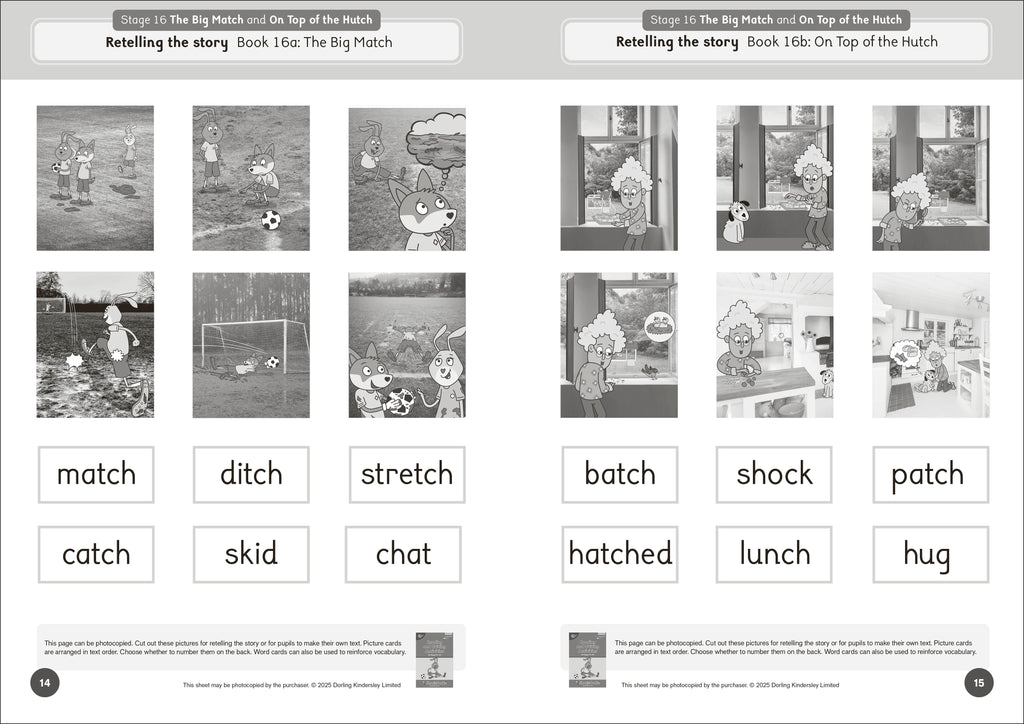Phonic Books Dandelion Launchers Extras Stages 16-20 Reading and Writing Activities