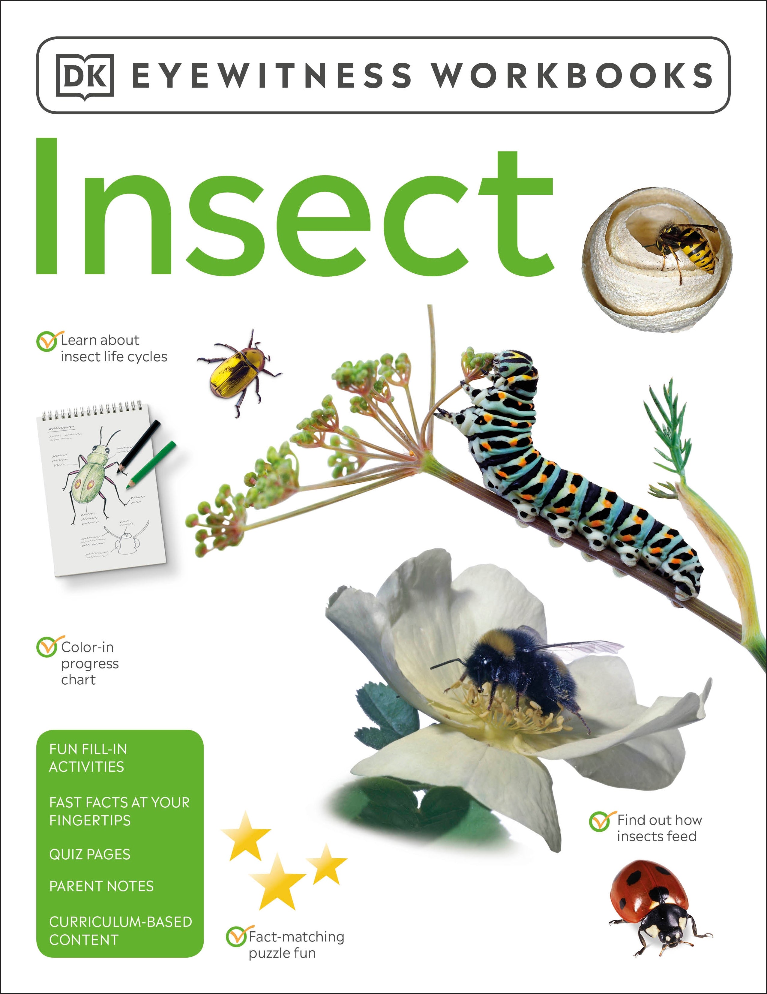 Eyewitness Workbooks Insect jacket