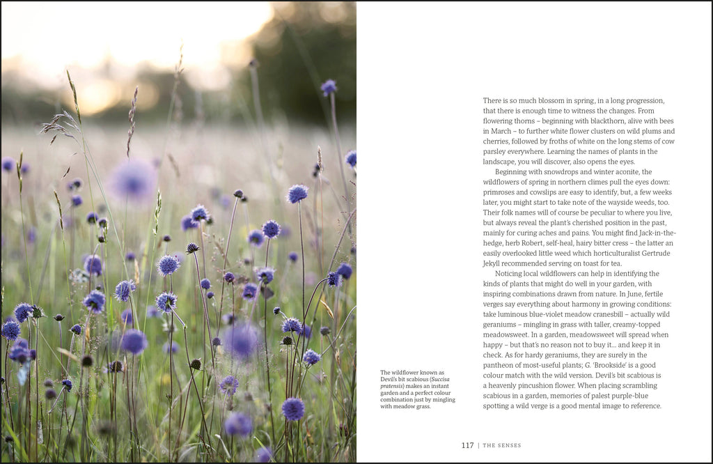 Garden for the Senses