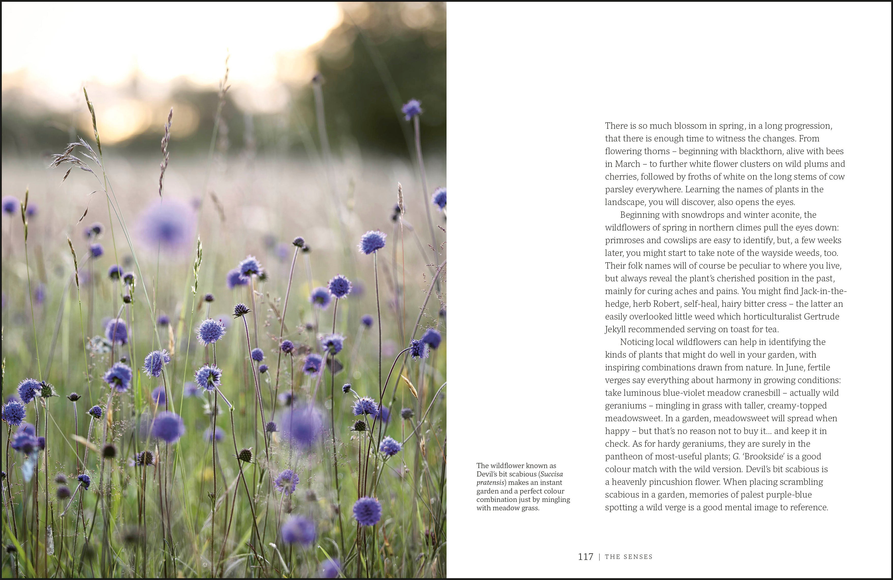 Garden for the Senses