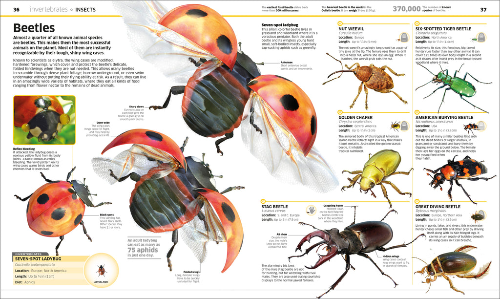 Knowledge Encyclopedia Animal!