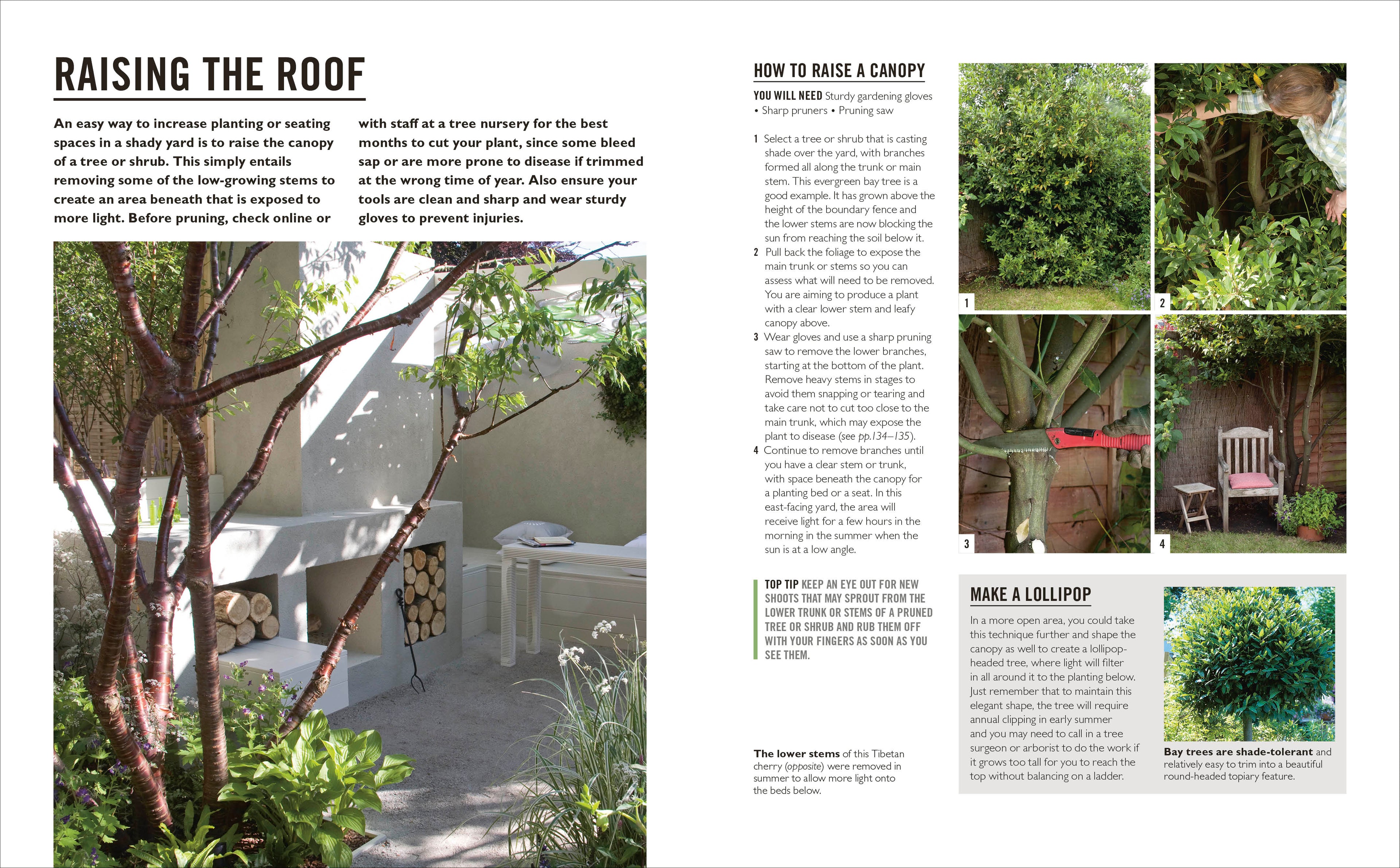 Grow Shade Garden-Spread, Image, (PRHC, Design, Do, Not, Use)-3