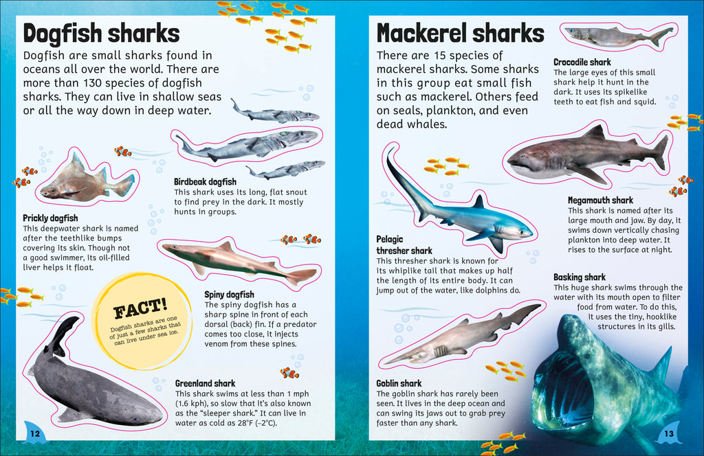 Sticker Encyclopedia Sharks-Spread, Image, (PRHC, Design, Do, Not, Use)-1