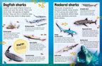 Sticker Encyclopedia Sharks-Spread, Image, (PRHC, Design, Do, Not, Use)-1