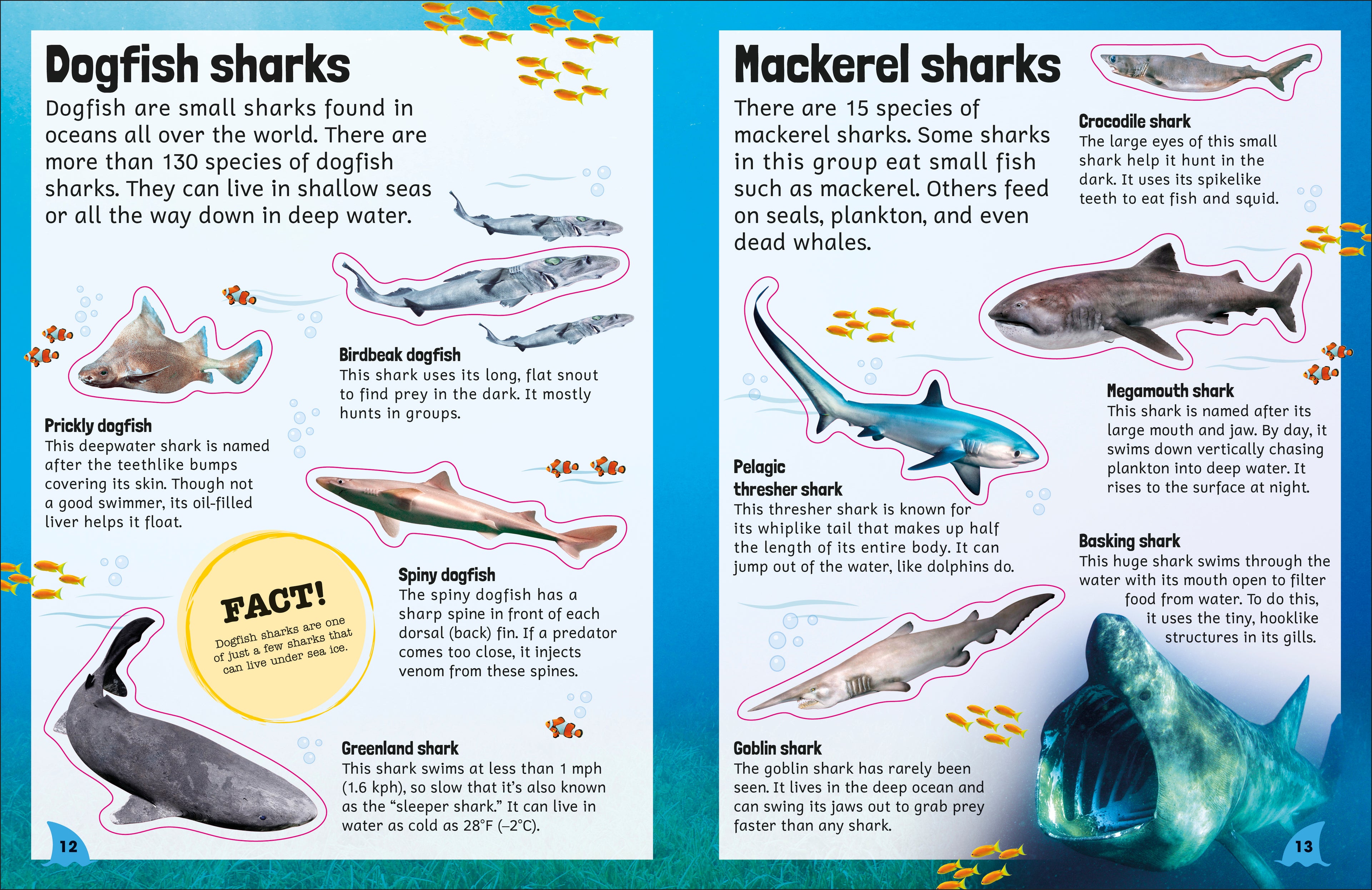 Sticker Encyclopedia Sharks-Spread, Image, (PRHC, Design, Do, Not, Use)-1