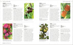 Grow Trees-Spread, Image, (PRHC, Design, Do, Not, Use)-5