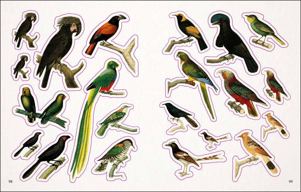 The Bees, Birds & Butterflies Sticker Anthology