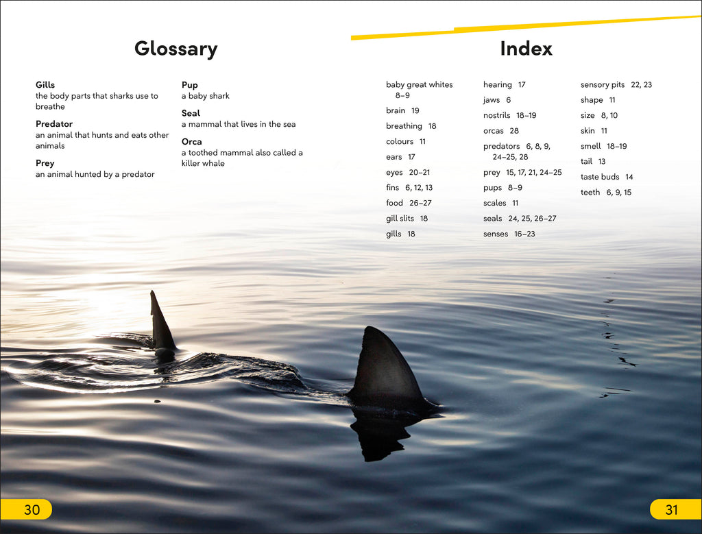 DK Super Readers Level 2 Great White Sharks