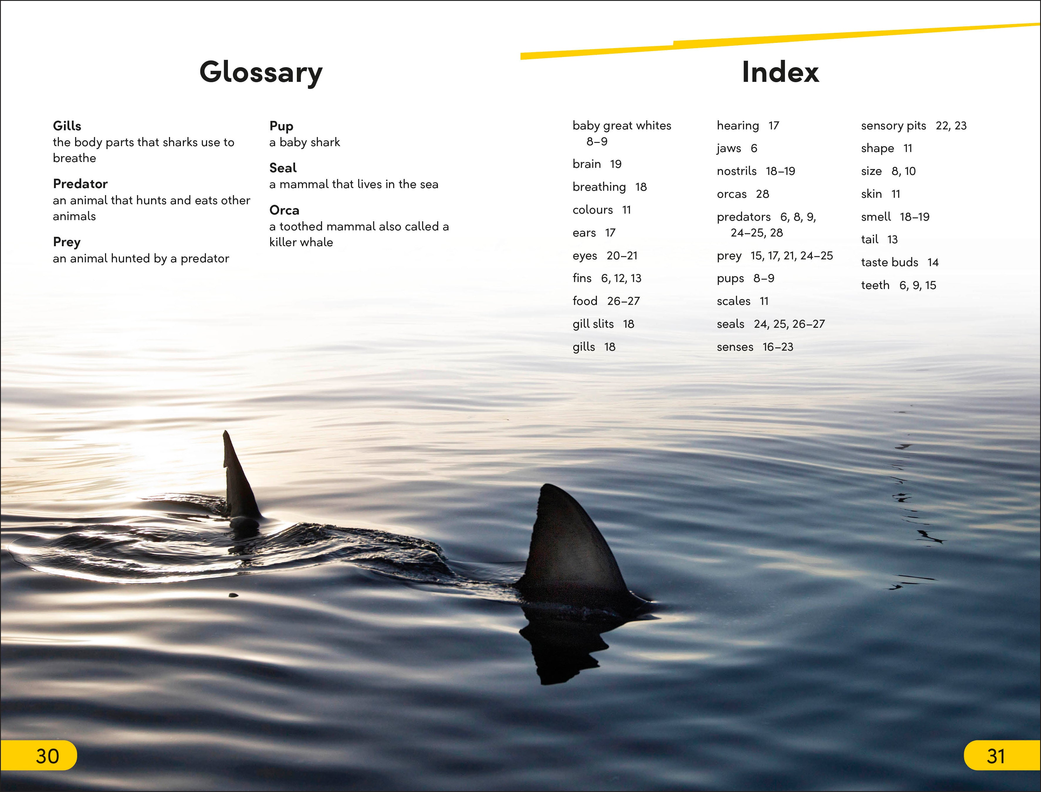 DK Super Readers Level 2 Great White Sharks