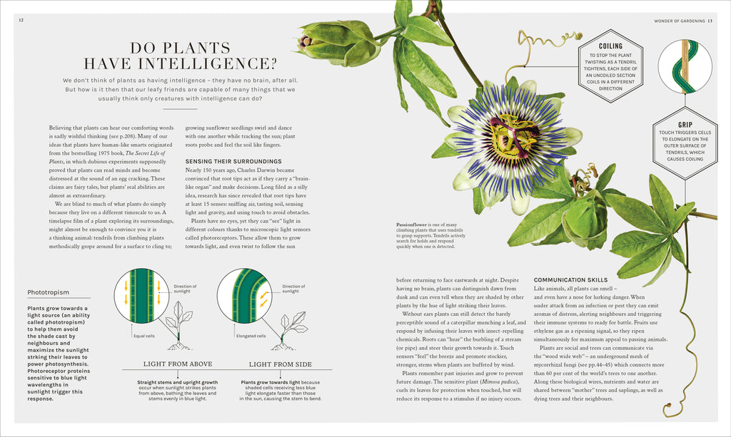 The Science of Gardening