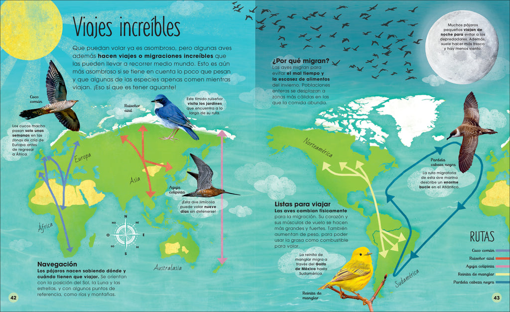 La vida secreta de las aves (The Extraordinary World of Birds)-Spread, Image, (PRHC, Design, Do, Not, Use)-5