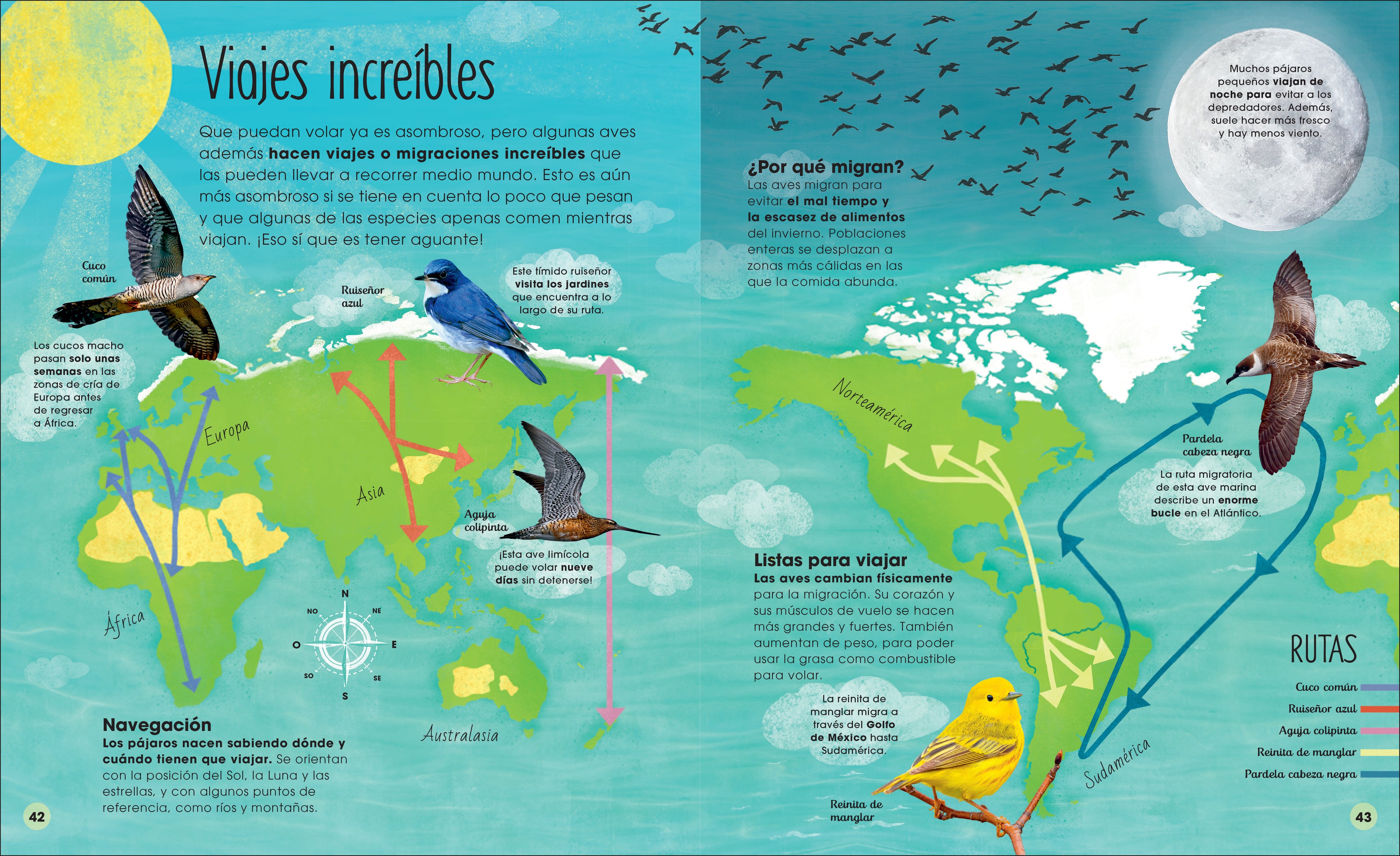 La vida secreta de las aves (The Extraordinary World of Birds)-Spread, Image, (PRHC, Design, Do, Not, Use)-5