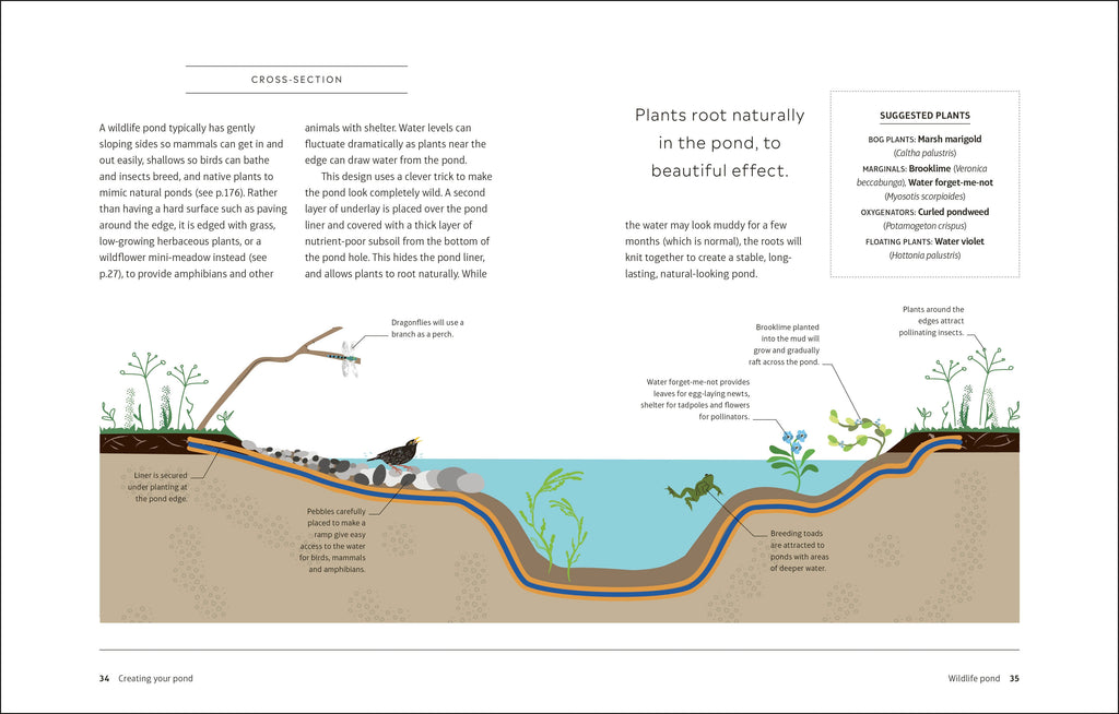 RHS How to Create a Wildlife Pond