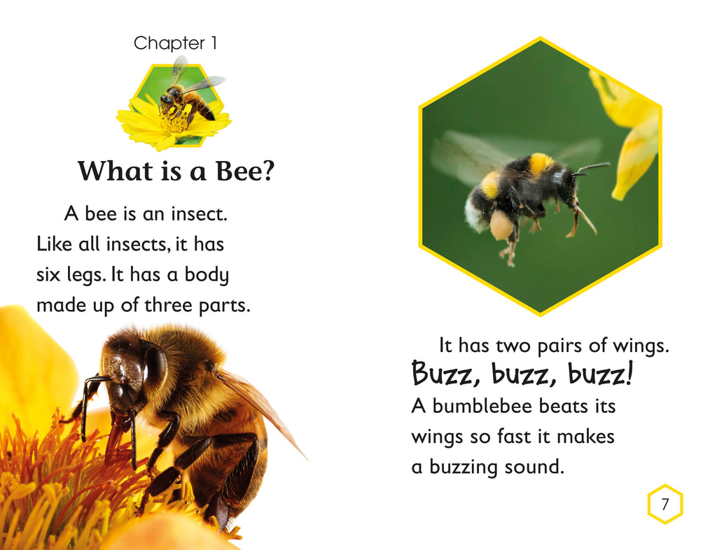 DK Readers L2: Amazing Bees