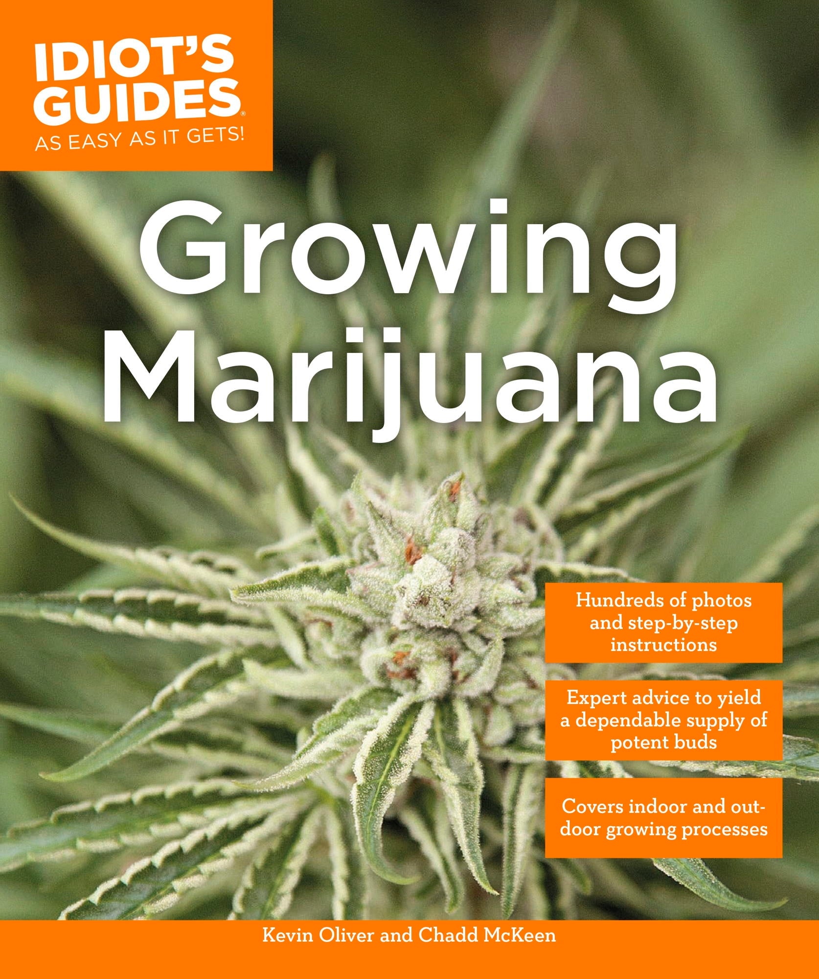 Growing Marijuana cover