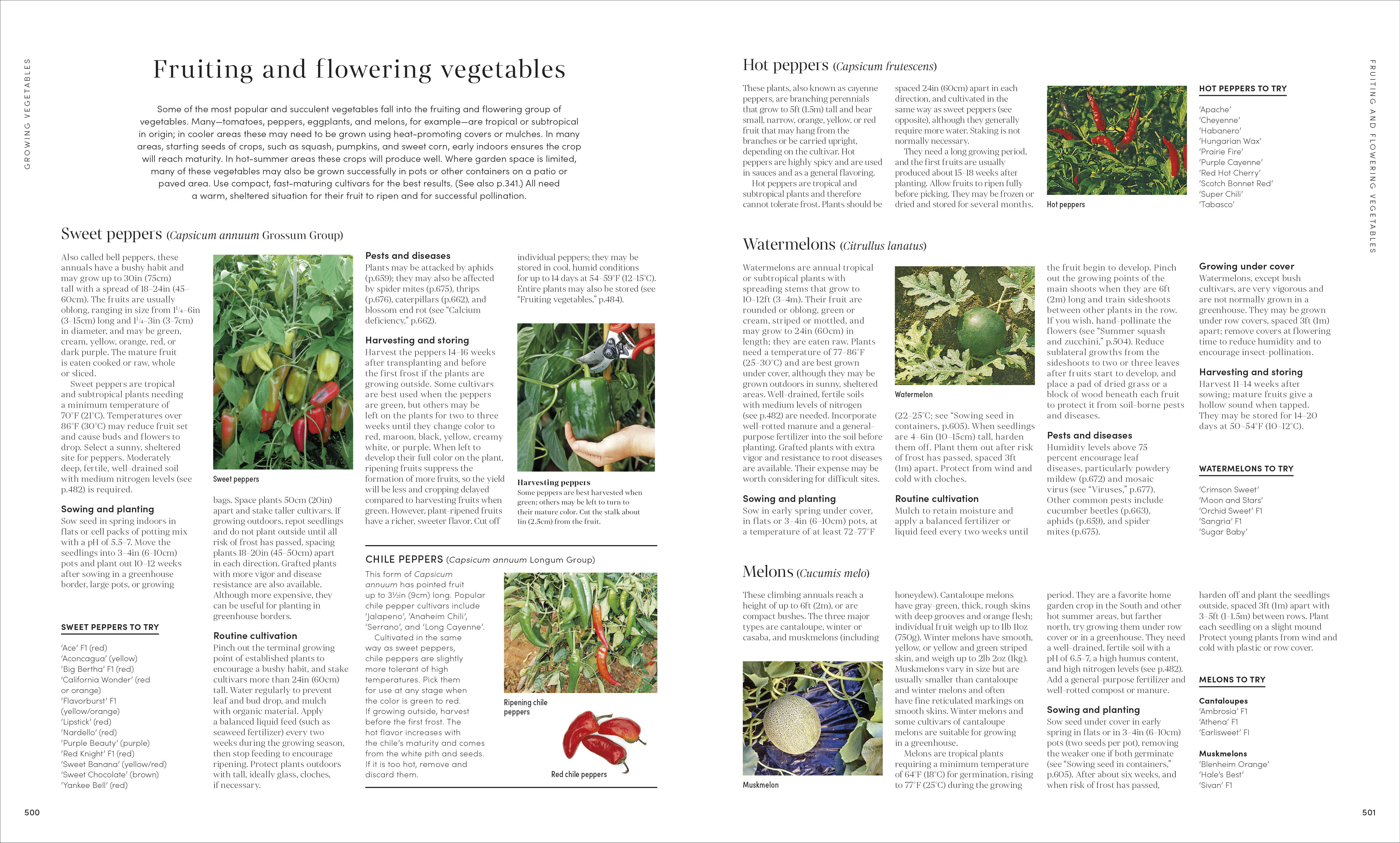 Encyclopedia of Gardening New Edition – DK