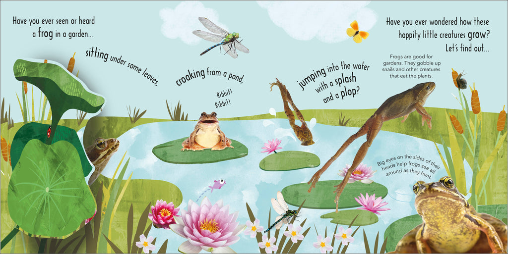 RHS How Does a Frog Grow?