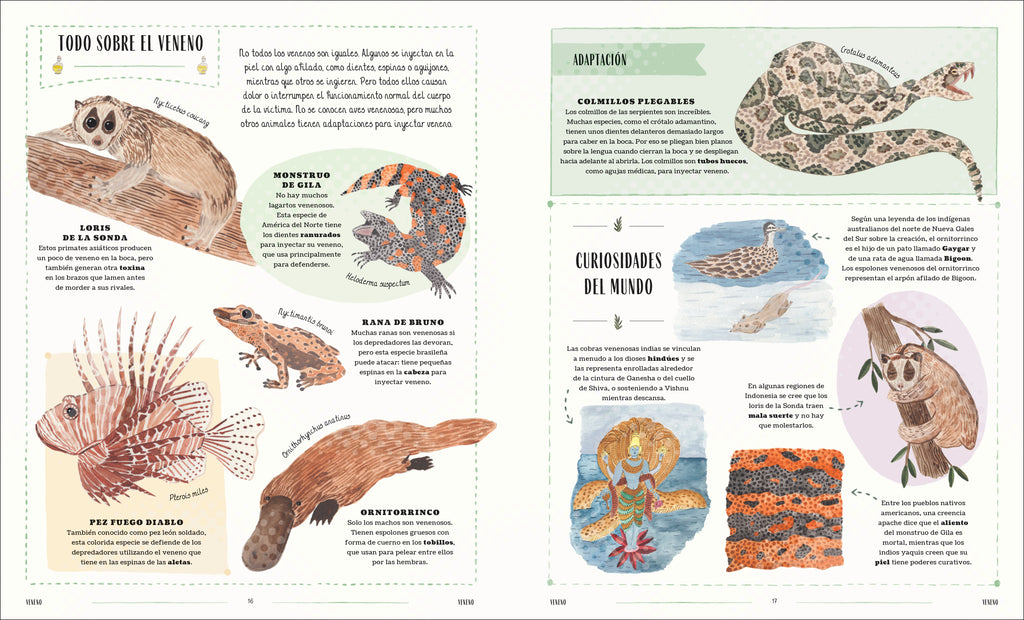 Fauna (Wild)-Spread, Image, (PRHC, Design, Do, Not, Use)-5