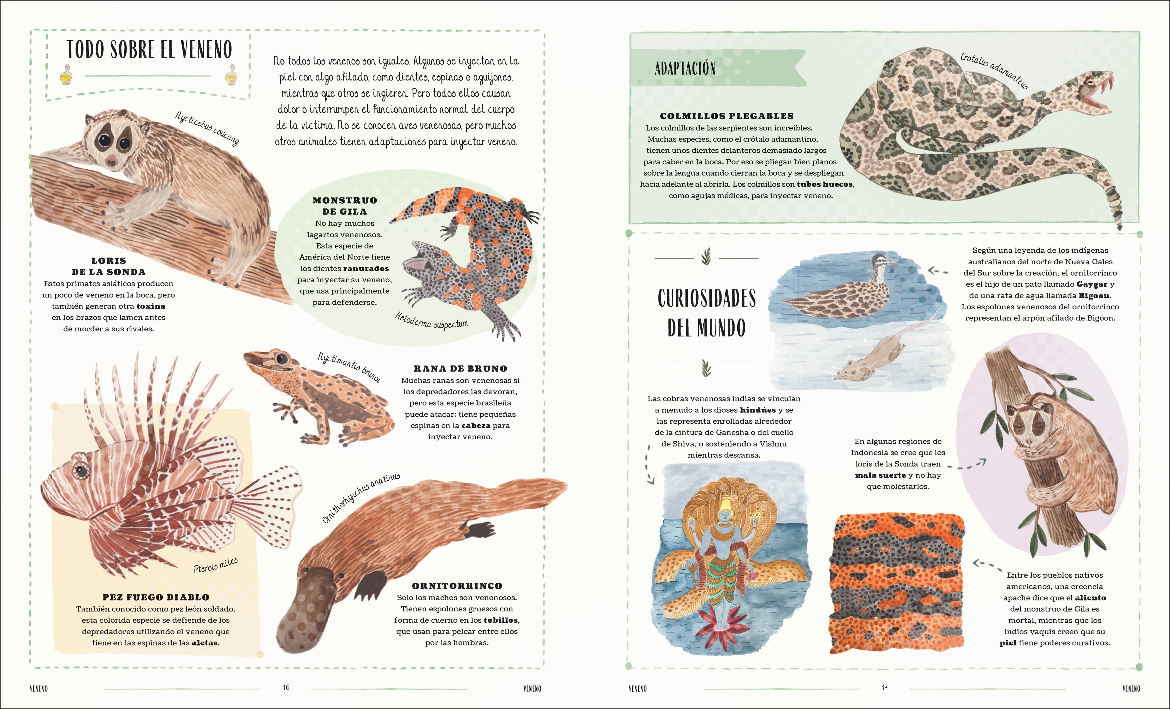 Fauna (Wild)-Spread, Image, (PRHC, Design, Do, Not, Use)-5