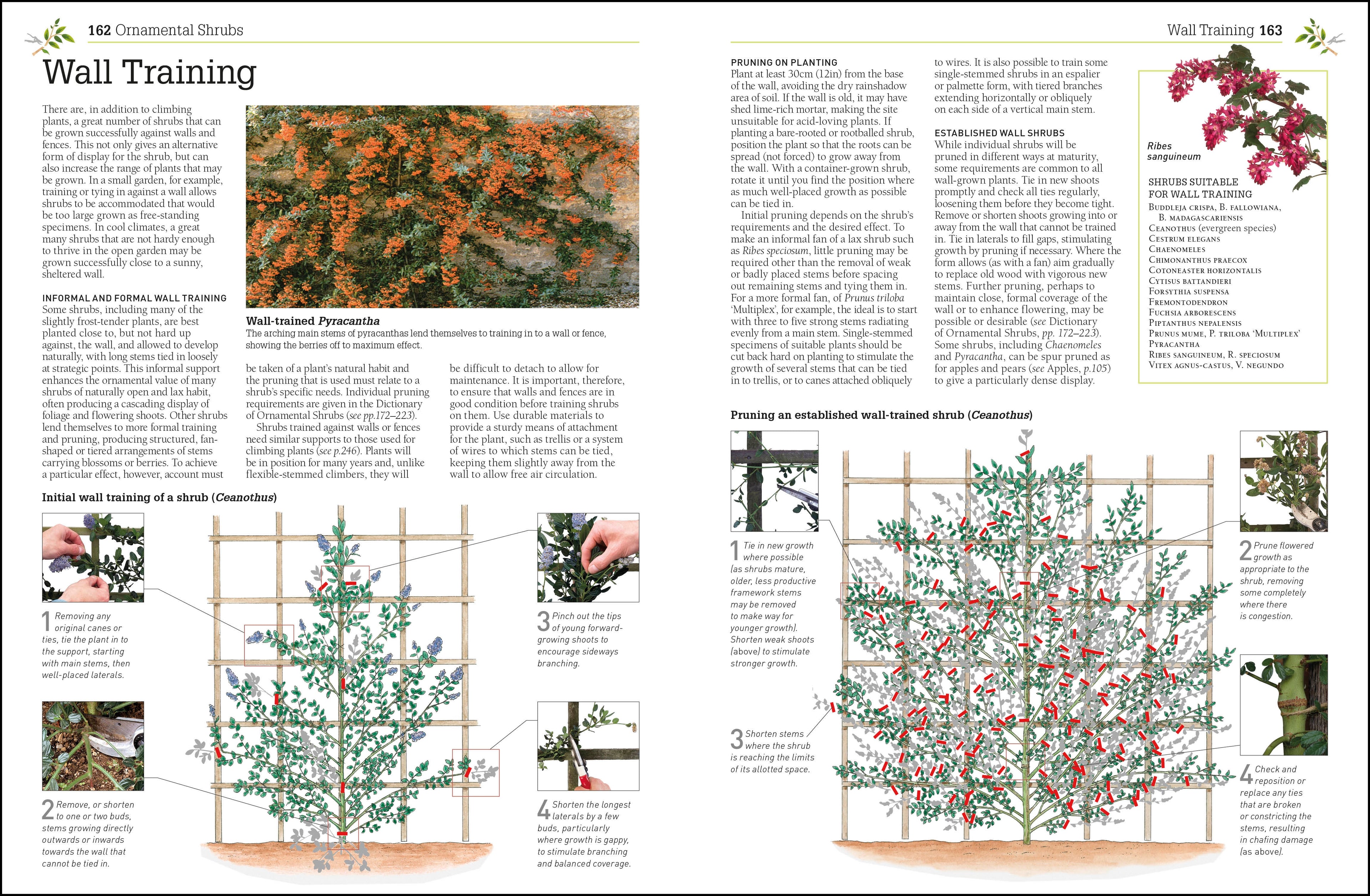 RHS Pruning and Training