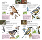 RSPB Pocket Garden Birdwatch